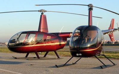 Robinson R22